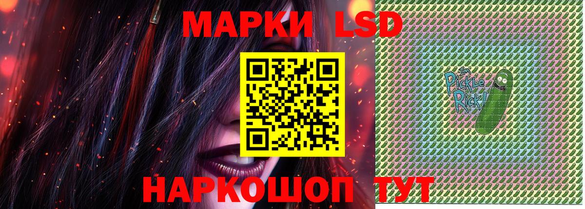 Псилоцибиновые грибы Ижевск