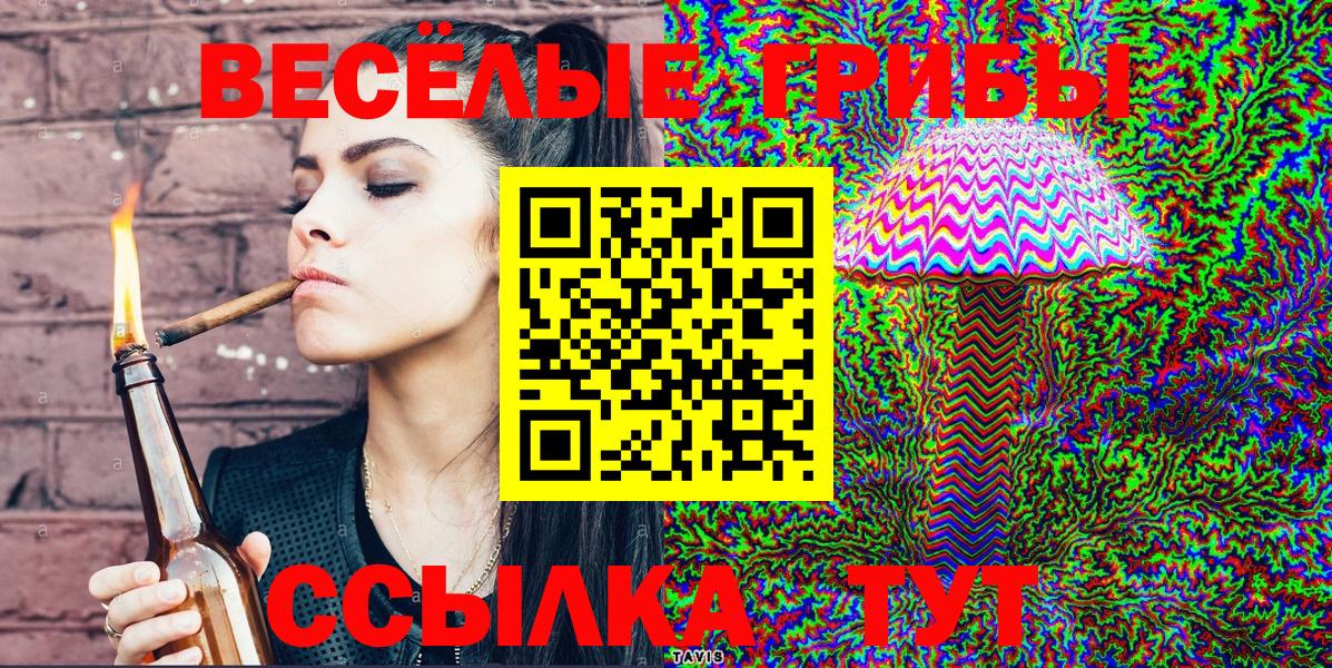 Галлюциногенные грибы Psilocybe  Псилоцибиновые грибы мицелий  Ижевск  что такое   Вход с VPN 
